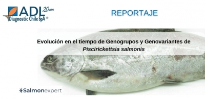 Evolución en el tiempo de Genogrupos y Genovariantes de Piscirickettsia salmonis