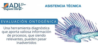 Nota Técnica N°4: EVALUACIÓN ONTOGÉNICA: Una herramienta diagnóstica que aporta valiosa información de procesos que siendo relevantes pueden pasar inadvertidos.