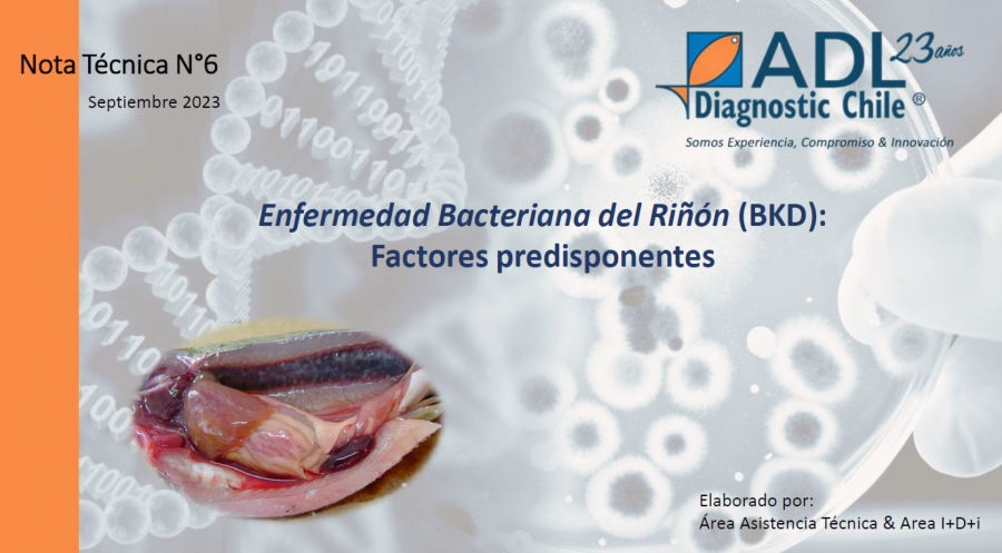 Nota Técnica N°6 Enfermedad Bacteriana del Riñón