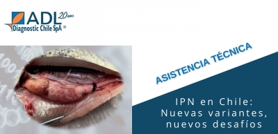 Nota Técnica nº 5: IPN en Chile: nuevas variantes, nuevos desafíos